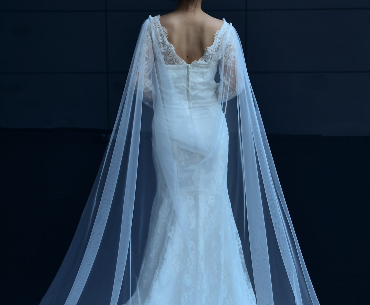 Simple Cowl Back Tulle Shoulder Veil