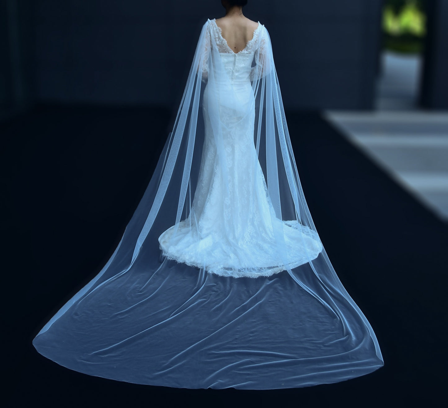 Simple Cowl Back Tulle Shoulder Veil