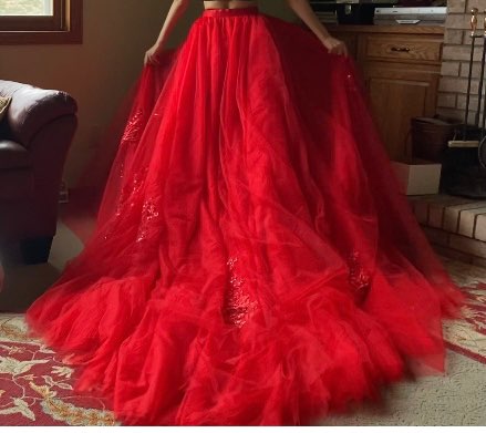 Custom Applique/Tulle Royal Ball Gown Skirt All Sizes/Colors