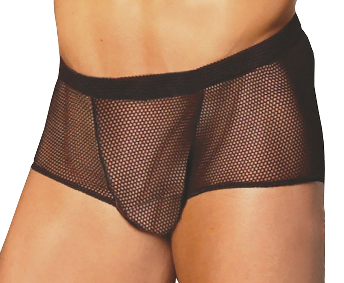 Fishnet Boxer Brief