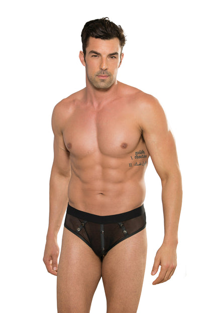 Sheer Mesh Brief