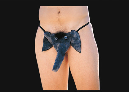 Elephant Play Underwear