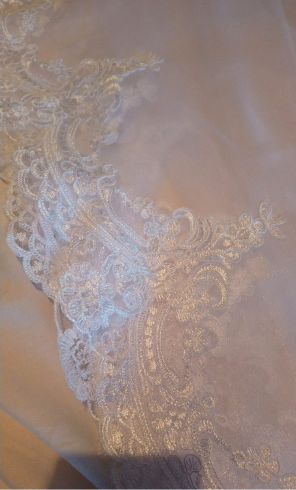 Embroidered Lace Edge Chapel Length Wedding Veil