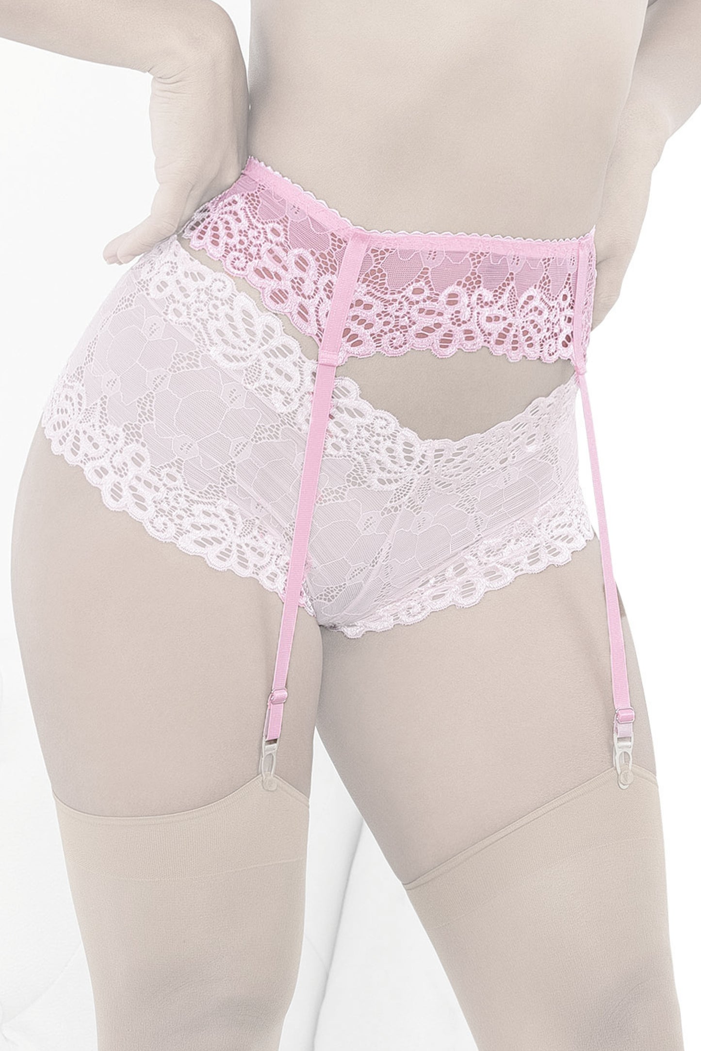 Sheer Romance Lace Band Garterbelt